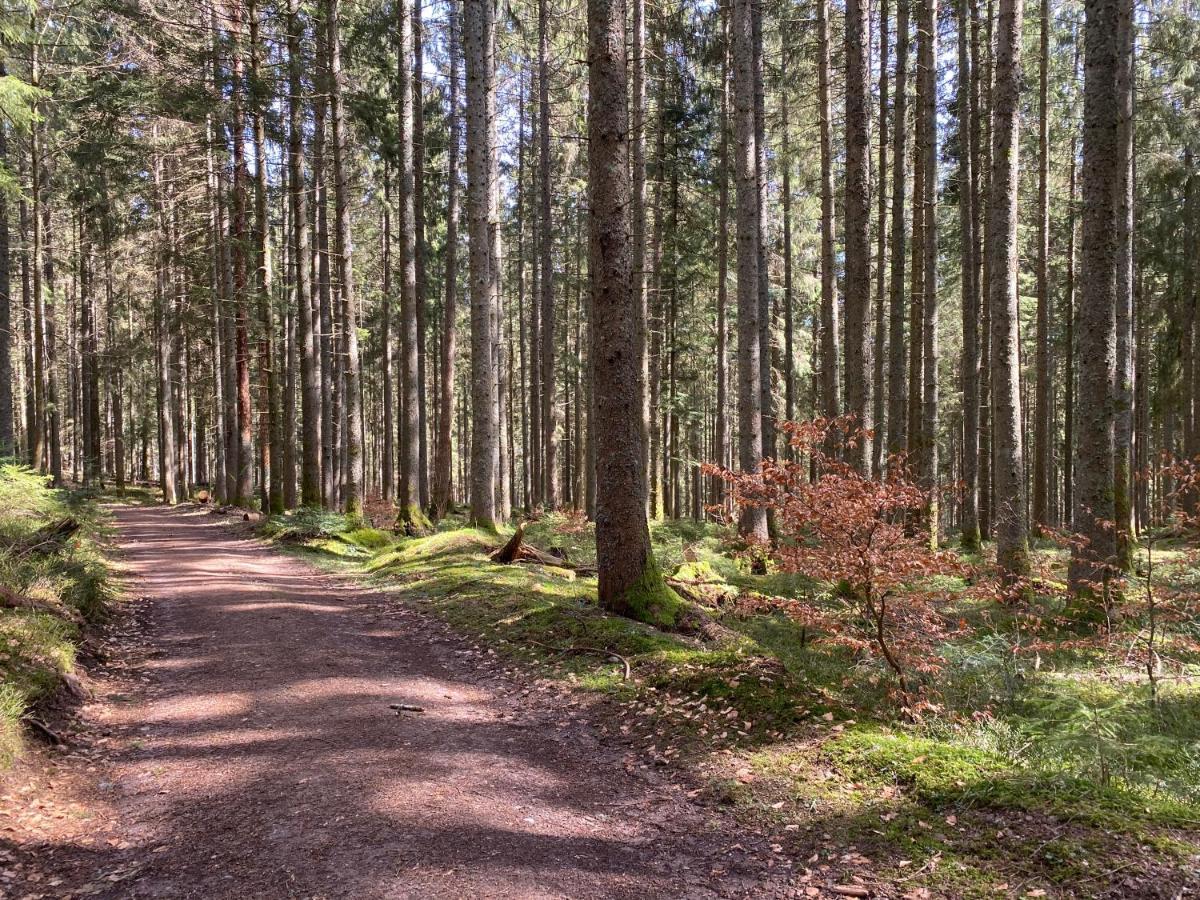 Ferienwohnung Lang - Schoene 3-Zimmer-Wohnung Bonndorf im Schwarzwald Exterior foto